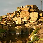 Olivers Strickley Over 35 Years Only